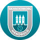 ikoner-skanderborg
